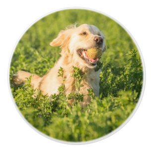 Golden Retriever with Tennis Ball Ceramic Knob
