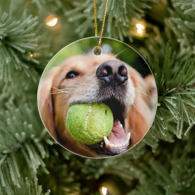 Golden Retriever With Tennis Ball Ceramic Tree Decoration (Tree)