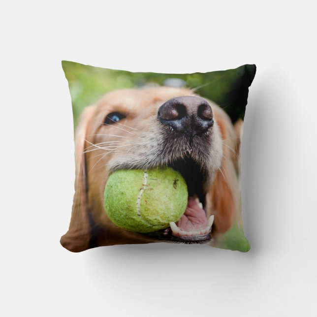 Golden Retriever With Tennis Ball Cushion (Front)