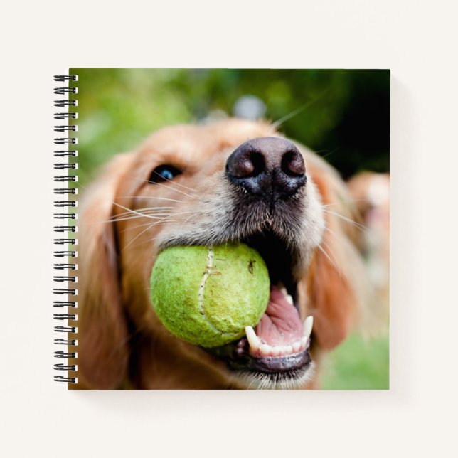 Golden Retriever With Tennis Ball Notebook (Front)