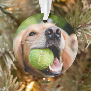 Golden Retriever With Tennis Ball Ornament