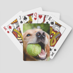 Golden Retriever With Tennis Ball Playing Cards