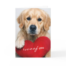 Golden Retriever With Valentine Heart Pillow