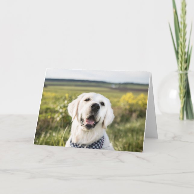 Golden Retriever "You make me smile" Greeting Card (Front)