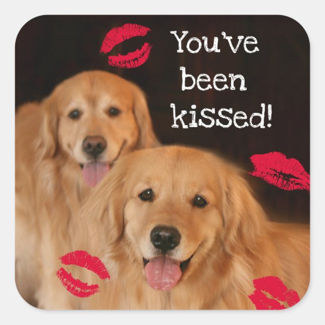 Golden Retriever You've Been Kissed Square Sticker (Front)