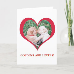 Golden Retrievers are Lovers!  Valentine's Day Holiday Card