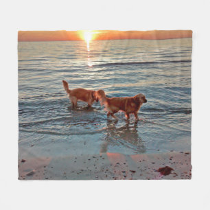 Golden Retrievers at Sunset fleece throw