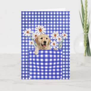 Golden Retrievers In Gingham Pocket Card