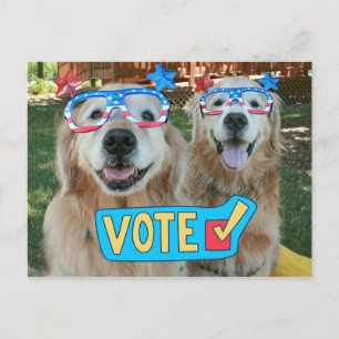 Golden Retrievers in Independence Day Glasses Vote Postcard
