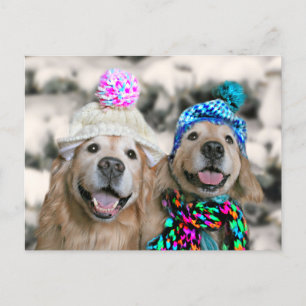 Golden Retrievers in Winter Hats Holiday Christmas