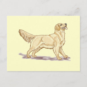 Golden Retrievers Postcard