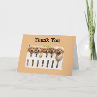 Golden Retrievers Thank You Buddies Card