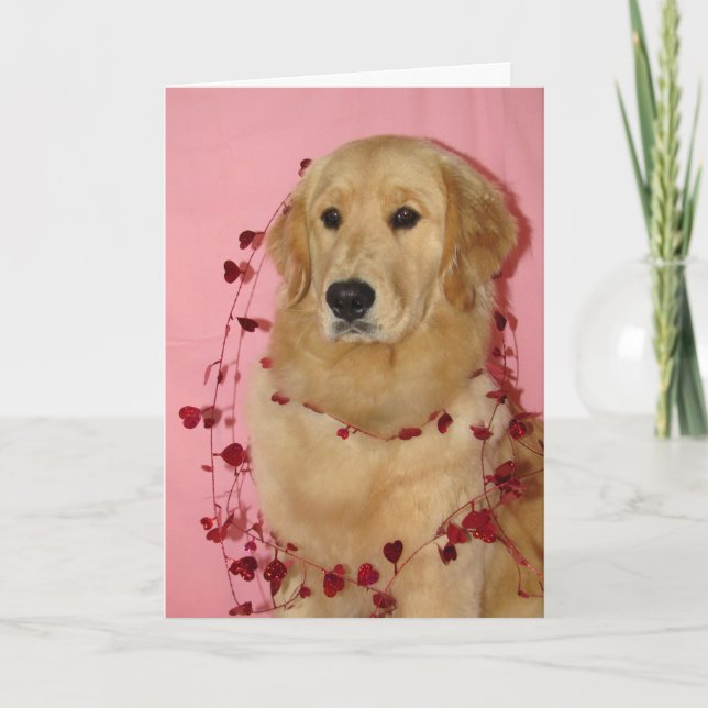 Golden Retriver Valentine's Day Card (Front)