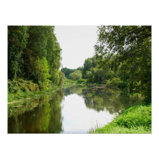 Golden River Calm Poster