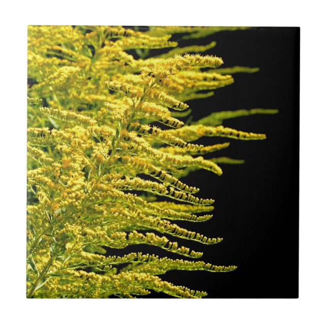 Golden rod gold diamond tile (Front)