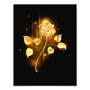 Golden rose ( gold rose ) photo print