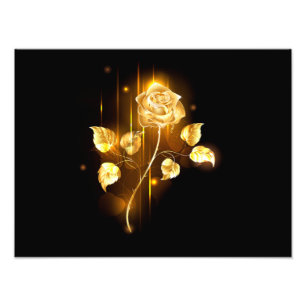 Golden rose ( gold rose ) photo print