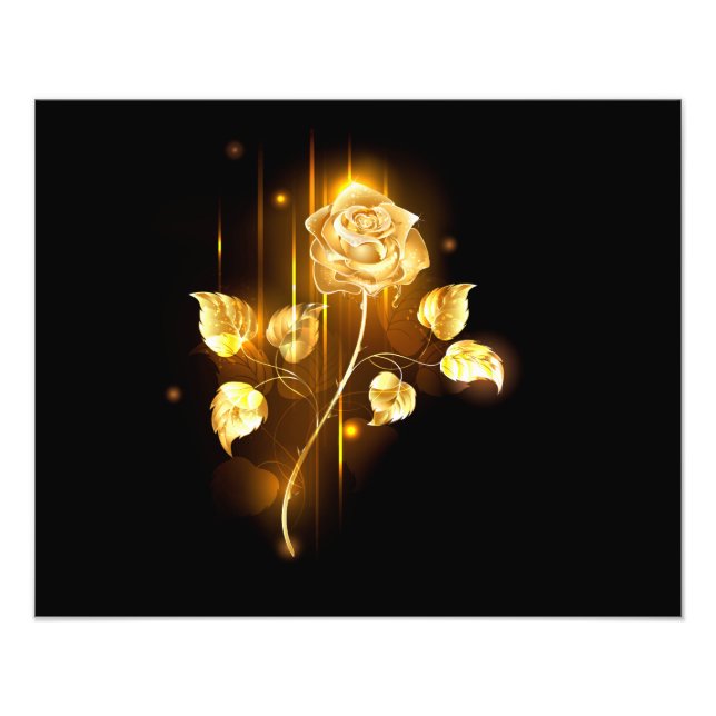 Golden rose ( gold rose ) photo print (Front)