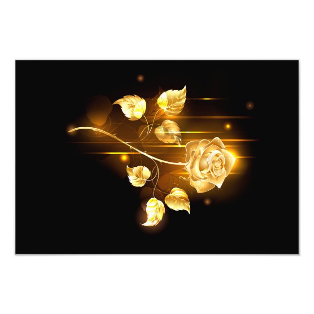 Golden rose ( gold rose ) photo print (Front)