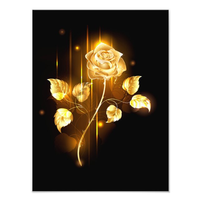 Golden rose ( gold rose ) photo print (Front)