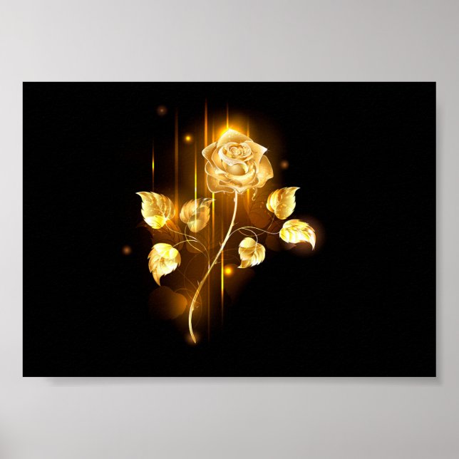 Golden rose ( gold rose ) poster (Front)