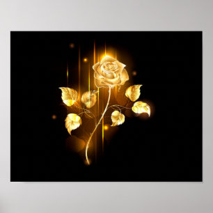 Golden rose ( gold rose ) poster