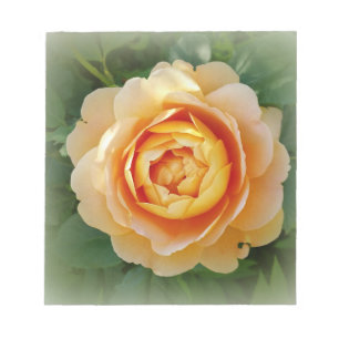 Golden rose notepad