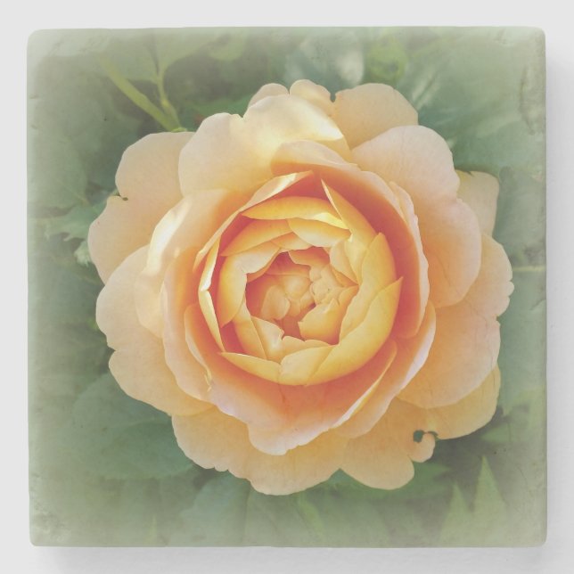 Golden rose stone coaster (Front)