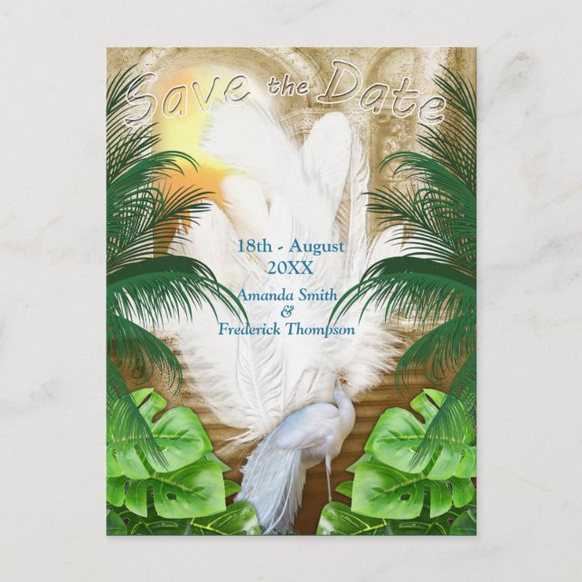 Golden Royal Peacock Temple Dreams Announcement Postcard (Front)