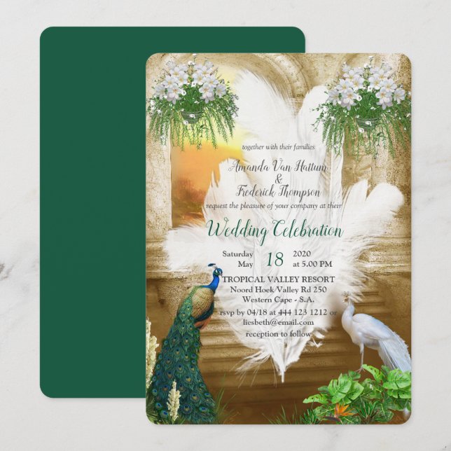 Golden Royal White Peacock Feathers Invitation (Front/Back)