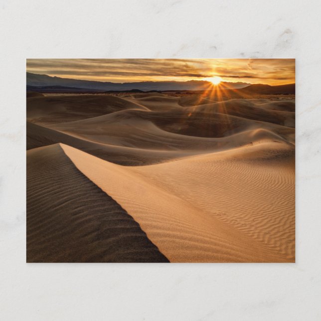 Golden Sand dunes, Death Valley, CA Postcard (Front)