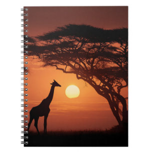 Golden Savannah Sunset Giraffe Silhouette Notebook