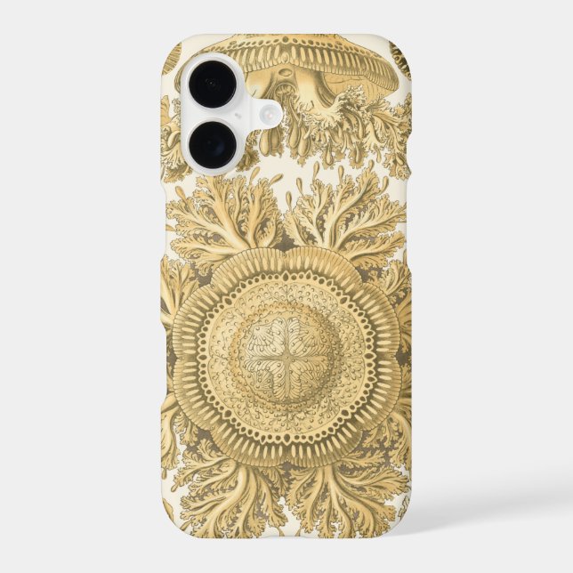 Golden Sea Creatures (Back)
