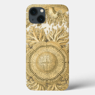 Golden Sea Creatures iPhone 13 Case