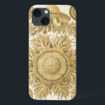 Golden Sea Creatures iPhone 13 Case<br><div class="desc">Ernst Haeckel is a creative and imaginative artist. In this contemporary piece of art,  he captures the sea life anemone urchins in gold and twisty designs. You won't have any other piece of art like its kind. Get this innovative piece of ocean art on your products today!</div>