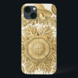 Golden Sea Creatures iPhone 13 Case<br><div class="desc">Ernst Haeckel is a creative and imaginative artist. In this contemporary piece of art, he captures the sea life anemone urchins in gold and twisty designs. You won't have any other piece of art like its kind. Get this innovative piece of ocean art on your products today!</div>