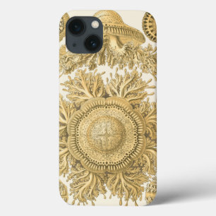 Golden Sea Creatures iPhone 13 Case