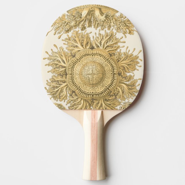 Golden Sea Creatures Ping Pong Paddle (Front)