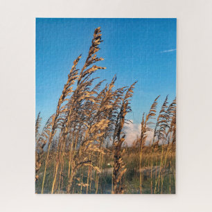 Golden Sea Oats Beach Anastasia State Park Jigsaw Puzzle