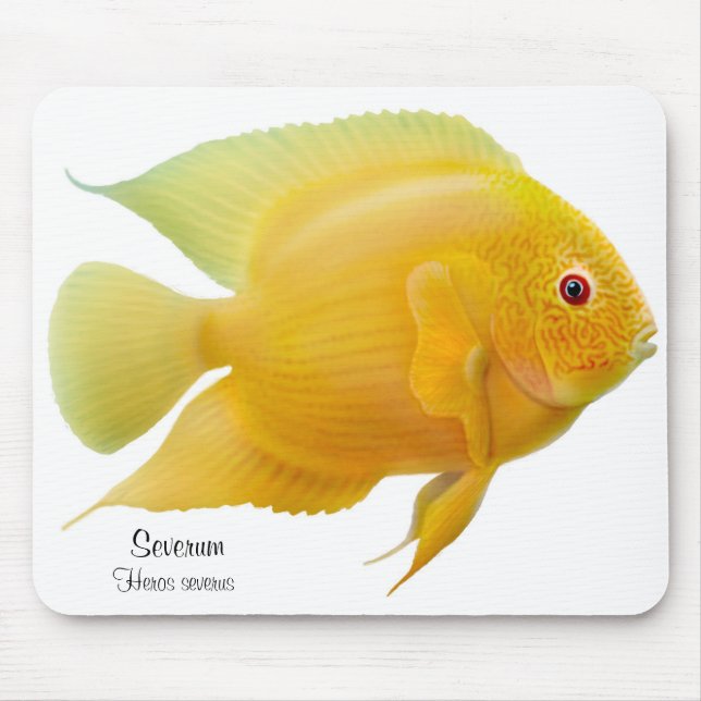 Golden Severum Cichlid Mousepad (Front)