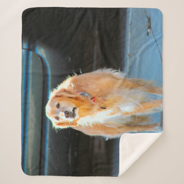 Golden Sherpa Blanket (Front)
