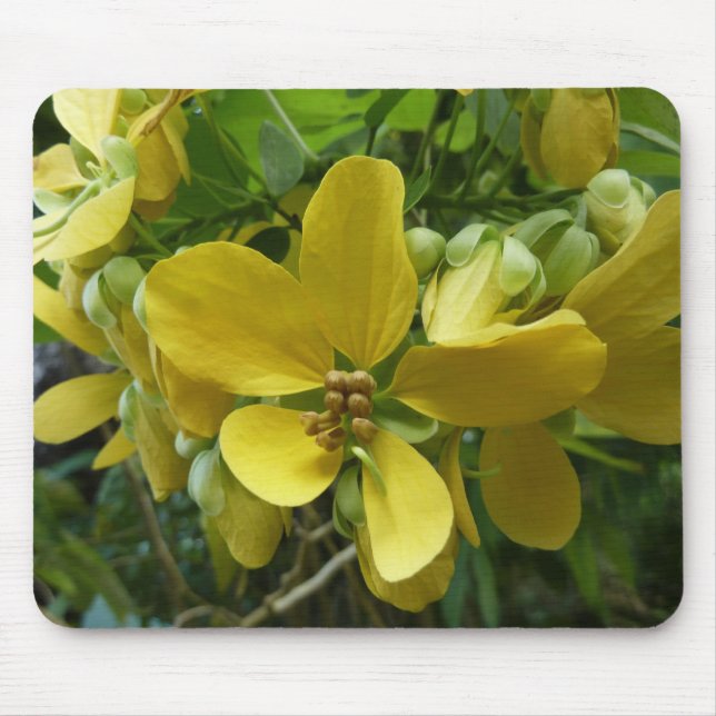 Golden Shower Tree Tropical Yellow Floral Mouse Mat (Front)
