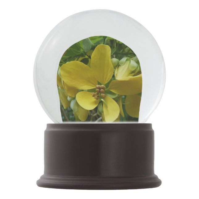 Golden Shower Tree Tropical Yellow Floral Snow Globe (Front)