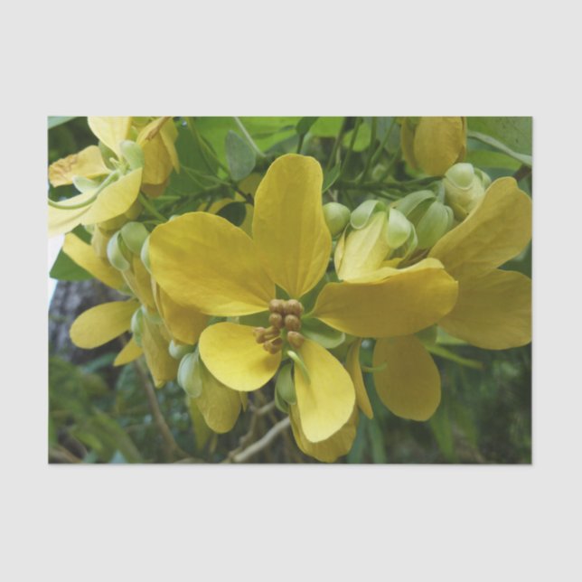 Golden Shower Tree Tropical Yellow Floral Tissue Paper (Front)