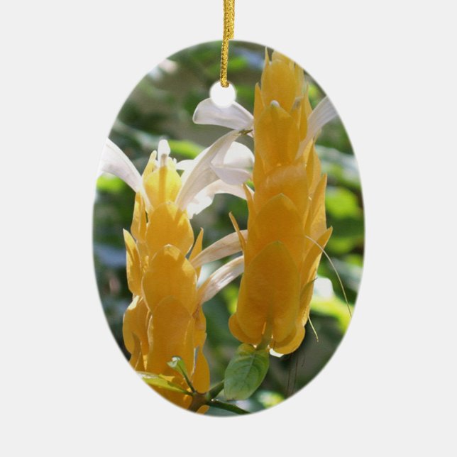 Golden Shrimp Plant Flowers Ceramic Tree Decoration (Front)