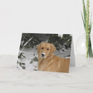 Golden Snow Holiday Card