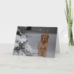 Golden Snowy Christmas Holiday Card