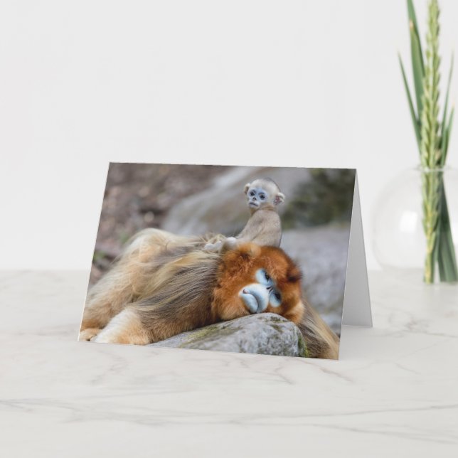 Golden Snub-nosed Monkey Dad with Baby Card (Front)