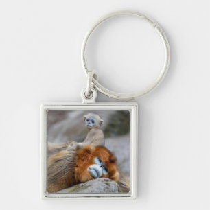 Golden Snub-nosed Monkey Dad with Baby Key Ring