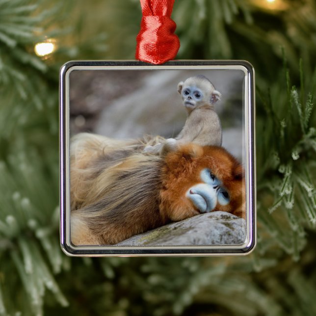 Golden Snub-nosed Monkey Dad with Baby Metal Tree Decoration (Tree)